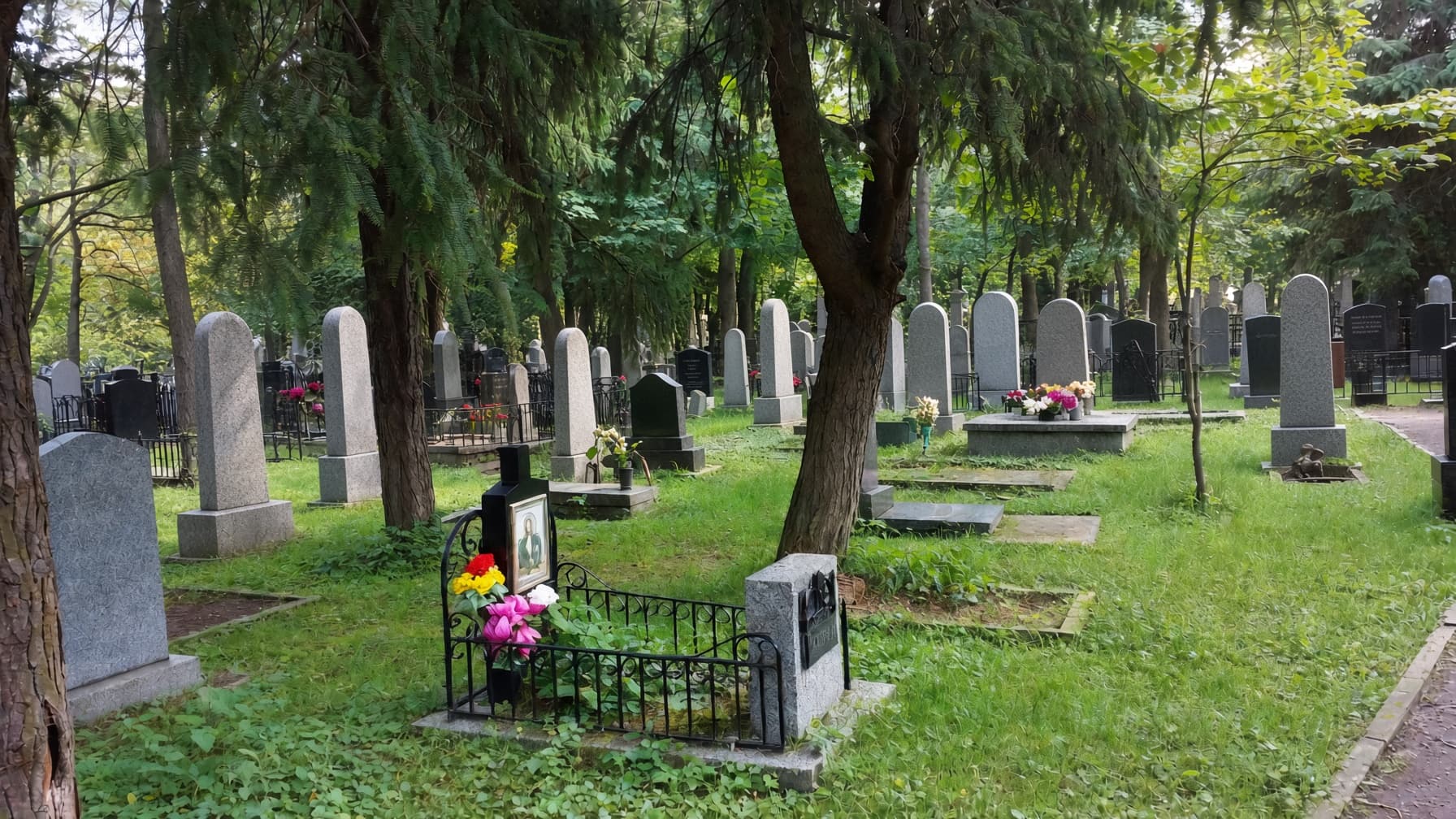 Grey headstones scattered across a grassy cemetery shaded by many tall, leafy green trees.