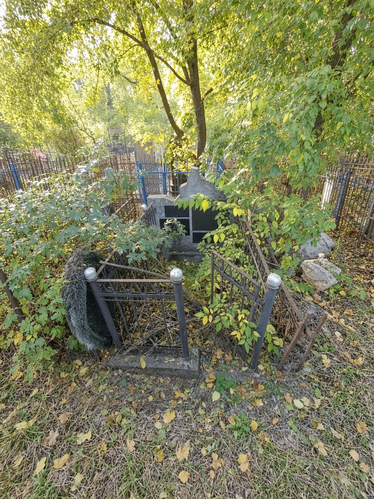 Overgrown grave with a black headstone and metal fence surrounded by dense green foliage.
